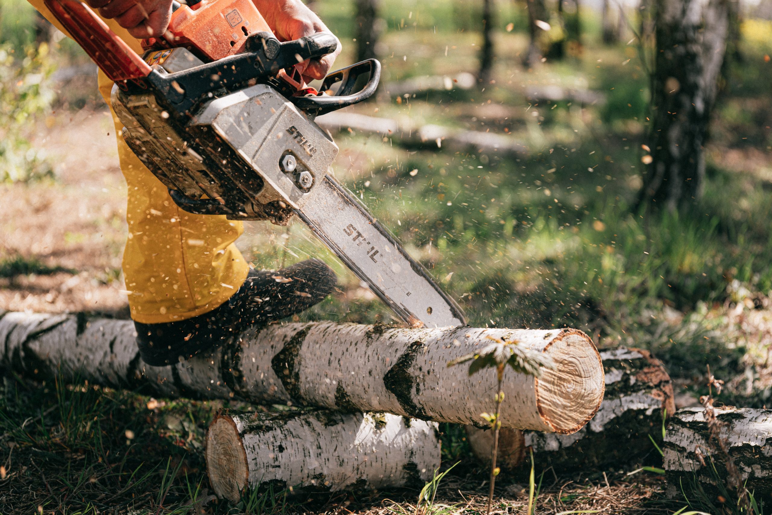 Tree Service Insurance Everything Needed For 2022   Tree Trimming Insurance 1 Scaled 