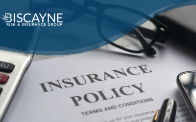 What Is Additional Insured Status on an Insurance Policy?
