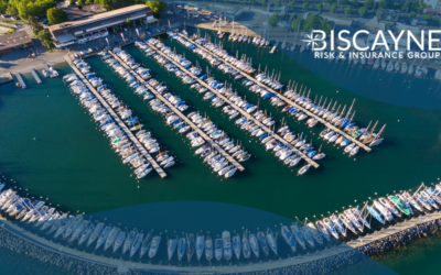 What Is Wharfinger Liability Insurance, and Does Your Marine Business Need It?